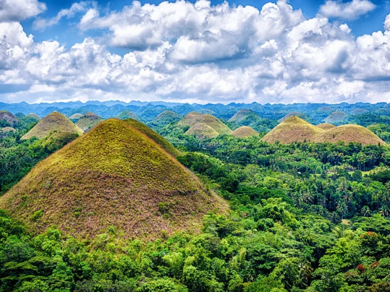 גבעות השוקולד בבוהול, הפיליפינים: גבעות מעוגלות ירוקות-חומות על רקע יער ושמיים מעוננים